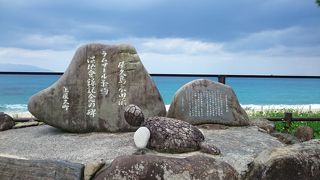 屋久島☆ウミガメの産卵地でもある美しいビーチ