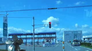 昔に比べて立派になりました。