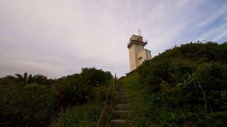 奄美大島最北の風を受けて