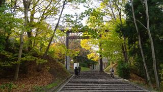 円山公園駅から