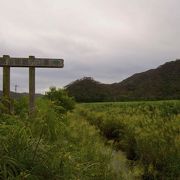 地元に人が肝試しにいくらしい