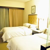 ただ外の音がうるさかった