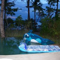 プール　シャチは持ち込み