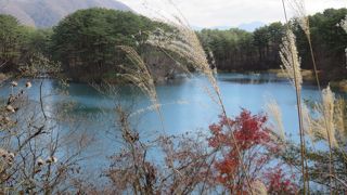 五色沼で一番大きい沼です