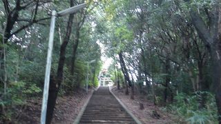 多治速比売神社(たじはやひめじんじゃ)