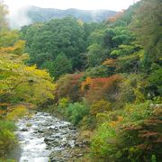 紅葉の季節に