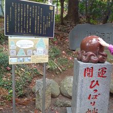 開運のひっぱり蛸