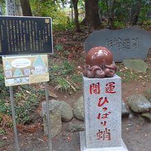 開運のひっぱり蛸