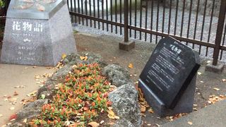 地球の平和を願う