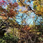 さすが紅葉の名所*夏井川渓谷*ちょっとだけウォーキング