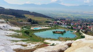 早朝がおすすめ