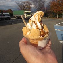 桔梗信玄ソフト