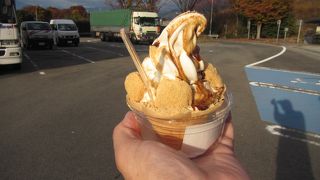 お薦めは桔梗信玄ソフト 