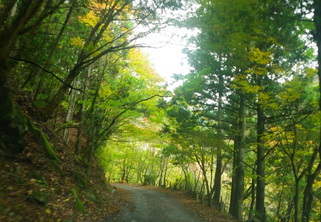 天城連峰