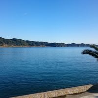 お部屋から見た景色です