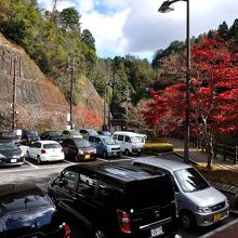 駐車場はイッパイです・・