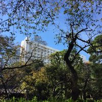 日本庭園からホテルを望む