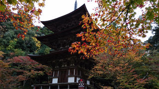 歴史ある湖東三山のお寺、本堂も三重塔も国宝、特別拝観の内部も必見、庭は苔が美しい