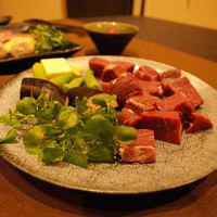 追加の鹿肉フィレ