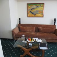 立派なリビングでした。