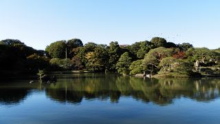 春は桜花、秋は紅葉…四季を通じて楽しめる都心のオアシス