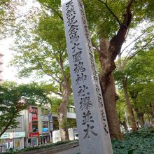 天然記念物の石碑