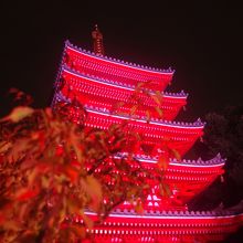 博多ライトアップウォーク