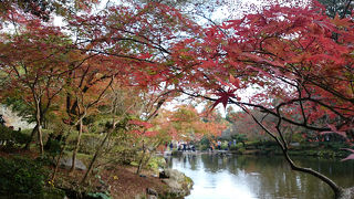 見どころたくさん
