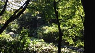 入園料500円です