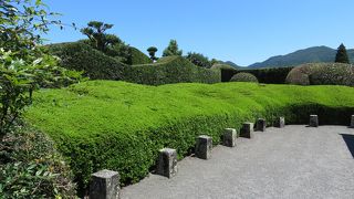 母ヶ岳の優雅な・・・