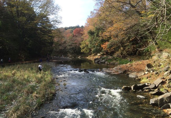 小川 嵐山の紅葉 クチコミ人気ランキング フォートラベル 埼玉県