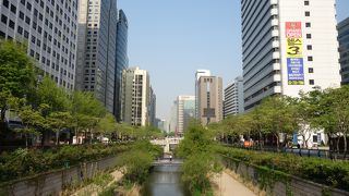 都会のオアシス