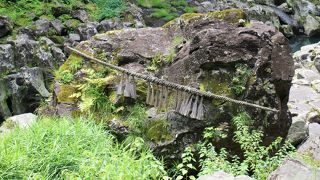 重量は推定２００トン 怪力