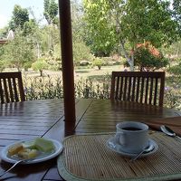 朝食会場も開放的です