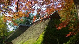 つつじともみじの寺(大興善寺 秋)