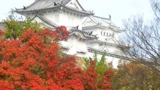 よほど庭園に興味がないと楽しめない