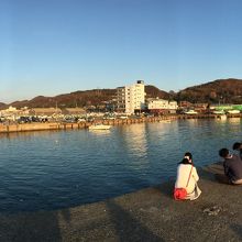 近くの港で釣が出来ます。