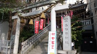 酉の市も近く開催