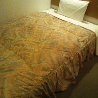 ベットのマットレスが若干堅いです。