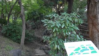 季節には少し早すぎました