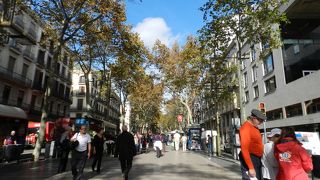 天気が良いと歩くだけ楽しい♪