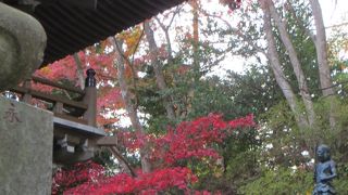 2015年の高尾山の紅葉の具合