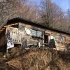 地ビールもあります
