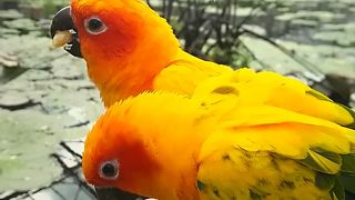 餌やり体験がたまらない