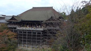 紅葉はいささか早いかも