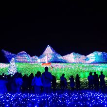 イルミネーションに３Ｄマッピングが被さって、見応え十分。この