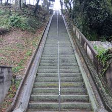 この階段を上ります