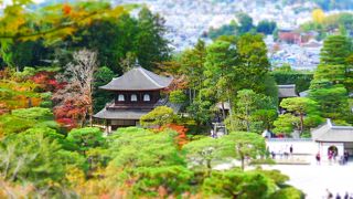 大した混みようではありません