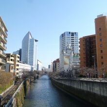 上流の１つ先の目黒新橋から太鼓橋を眺める！