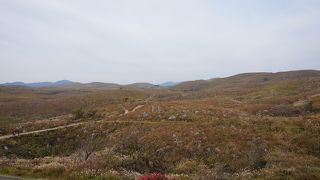 広大さが伝わります。